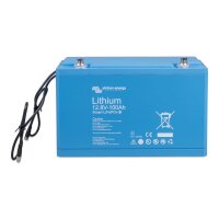 Batteria LiFePO4 12,8 V/100 Ah Smart